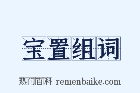 宝置组词是什么意思的图片